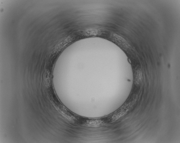 X0000073890414200609011658