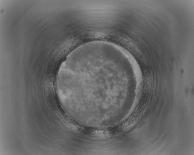 X0000073890415200609011658