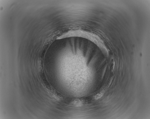 X0000073890416200609011658