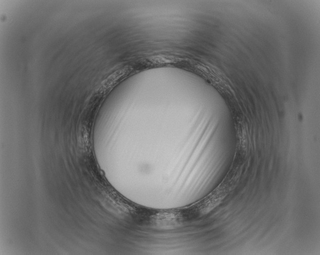 X0000073890418200609011658