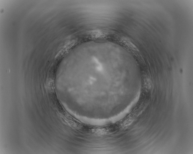 X0000073890419200609011658