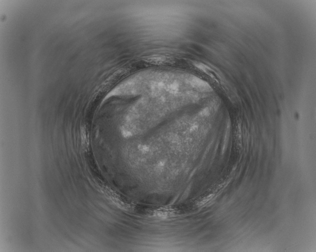 X0000073890420200609011658