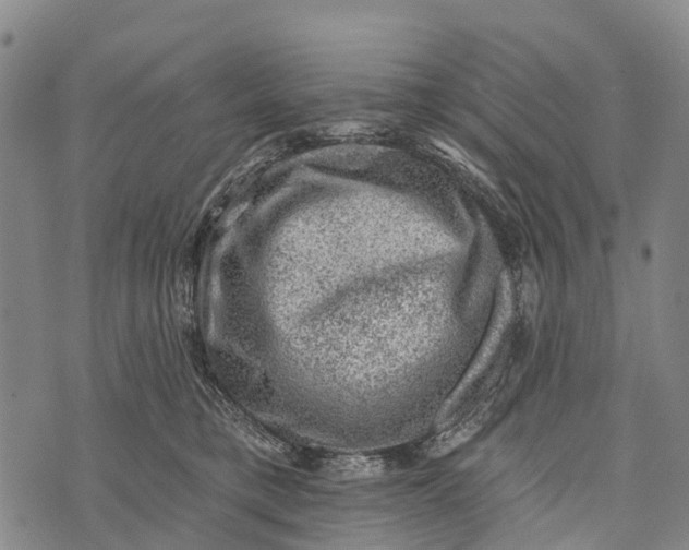 X0000073890421200609011658