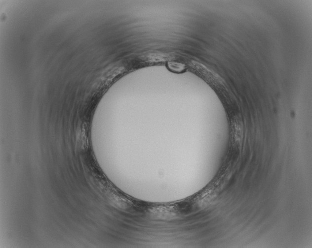 X0000073890422200609011658