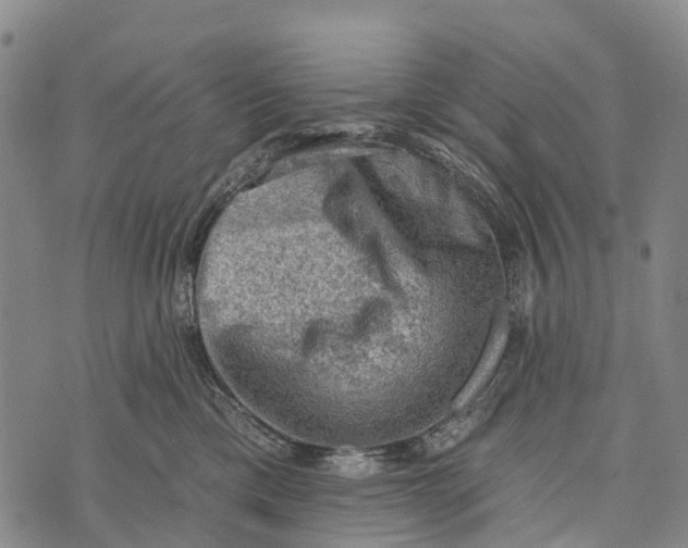 X0000073890425200609011658