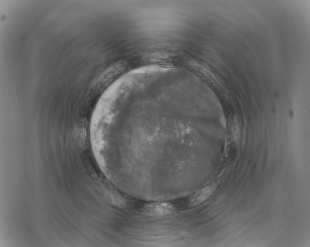 X0000073890427200609011658