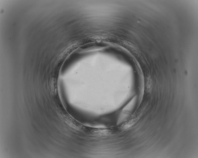 X0000073890428200609011658