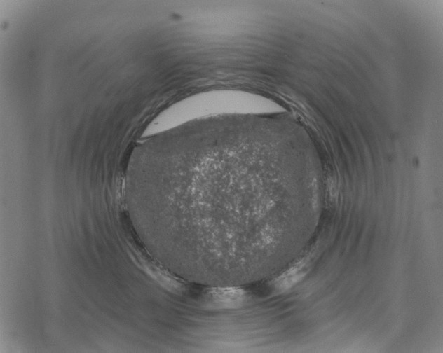 X0000073890429200609011658