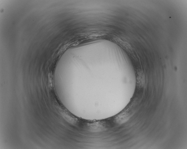 X0000073890430200609011658