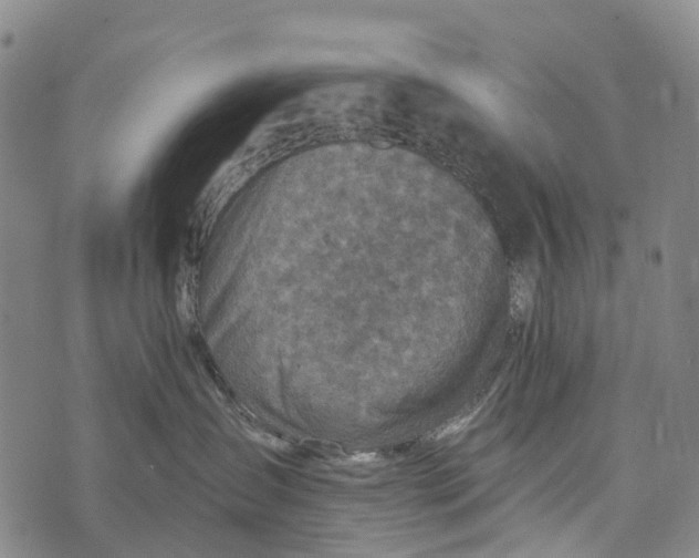 X0000073890431200609011658