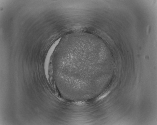 X0000073890432200609011658