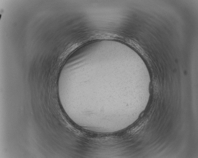 X0000073890433200609011657