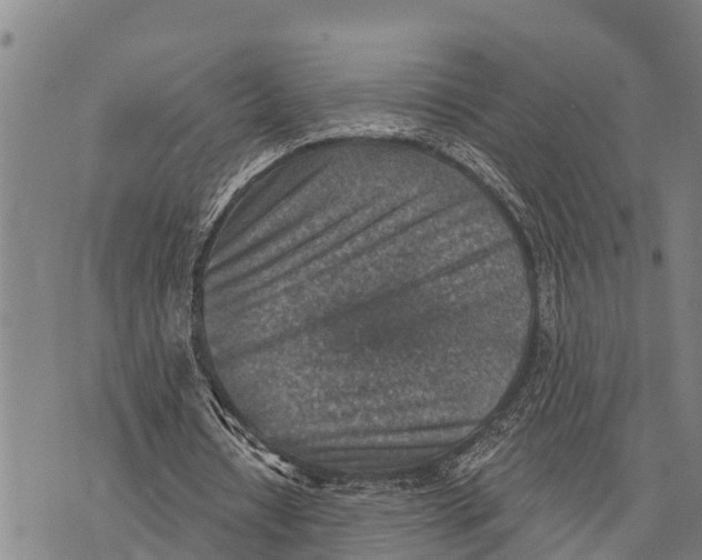 X0000073890434200609011657