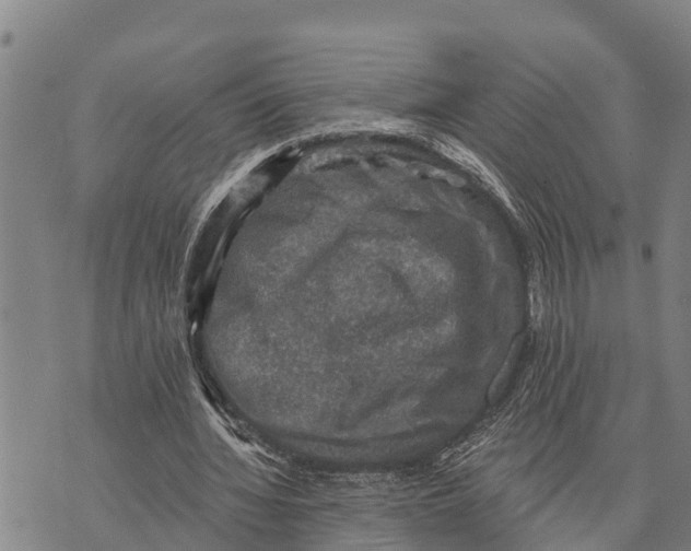 X0000073890436200609011657