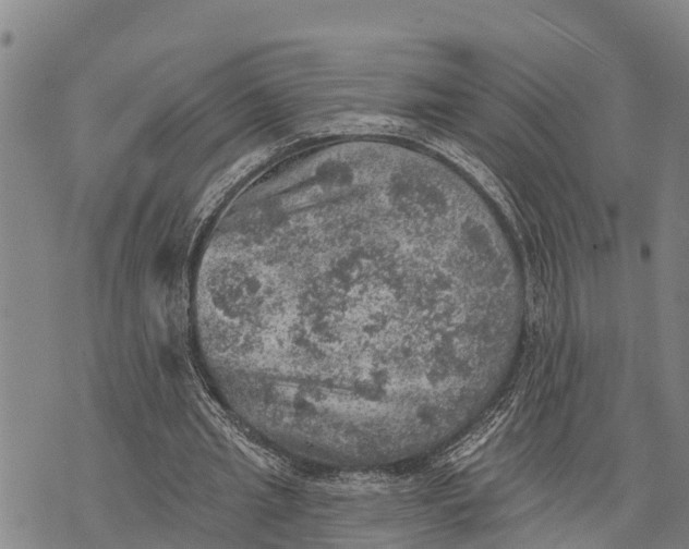 X0000073890437200609011657