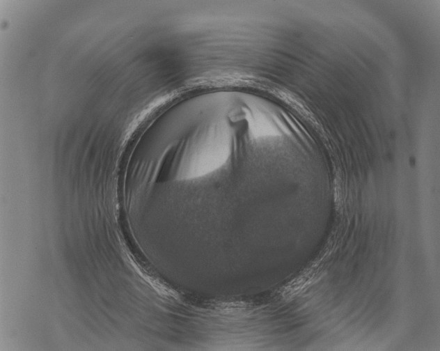 X0000073890438200609011657