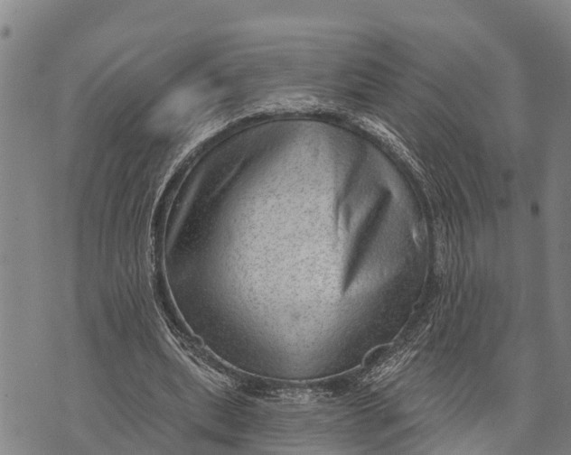 X0000073890439200609011657