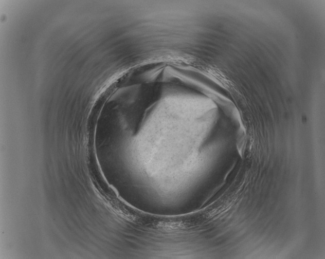 X0000073890440200609011657