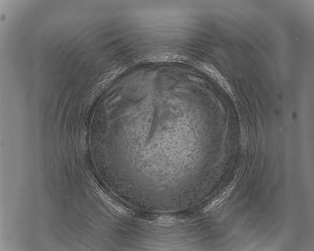 X0000073890441200609011657