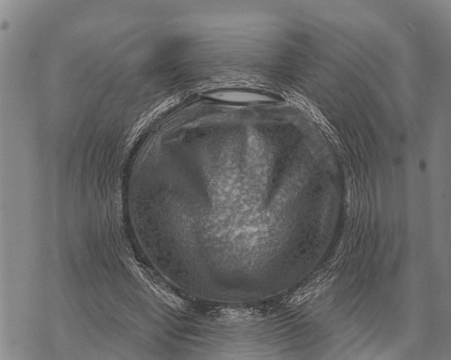 X0000073890442200609011657