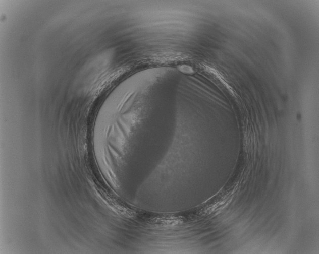 X0000073890443200609011657