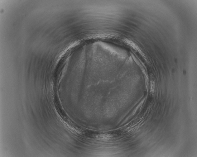 X0000073890444200609011657