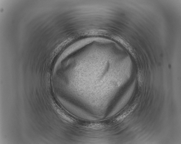 X0000073890445200609011657