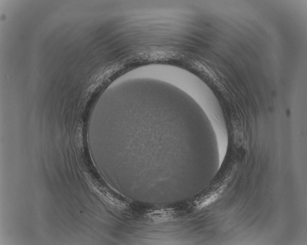 X0000073890447200609011657