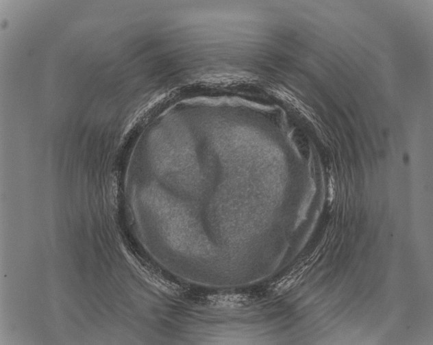 X0000073890448200609011657