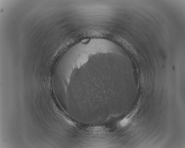 X0000073890449200609011657