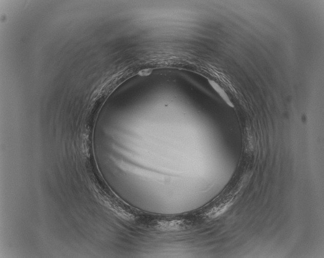 X0000073890450200609011657