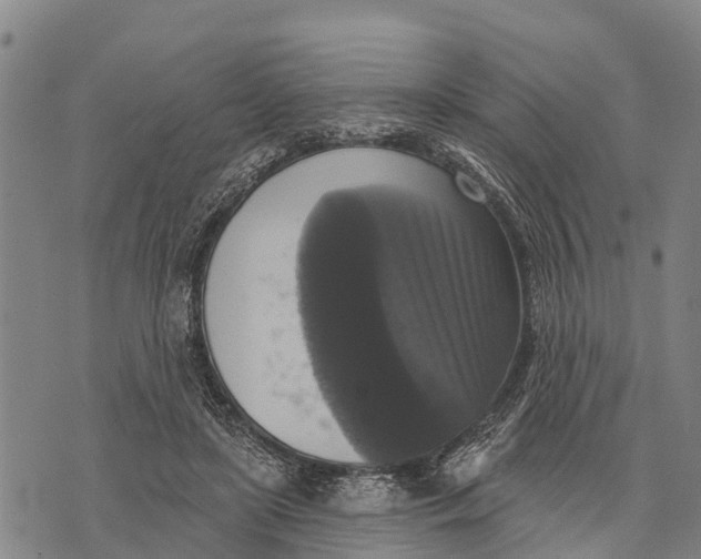 X0000073890451200609011657