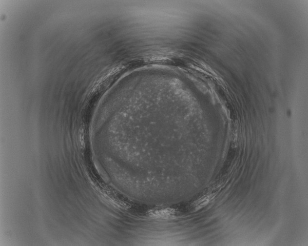 X0000073890452200609011657