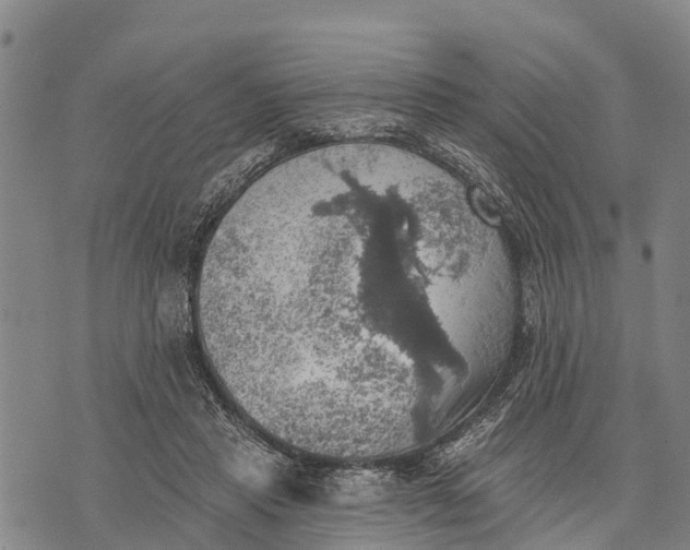 X0000073890453200609011657