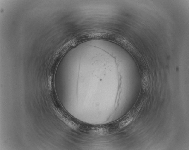 X0000073890454200609011657