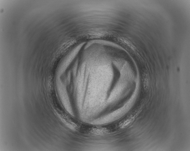 X0000073890455200609011657