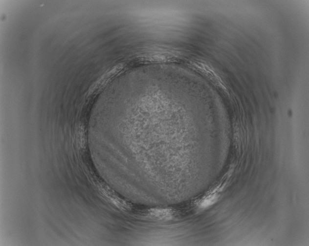 X0000073890457200609011657