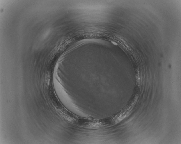 X0000073890458200609011657