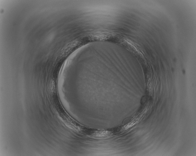 X0000073890459200609011657