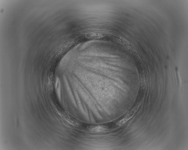 X0000073890460200609011657