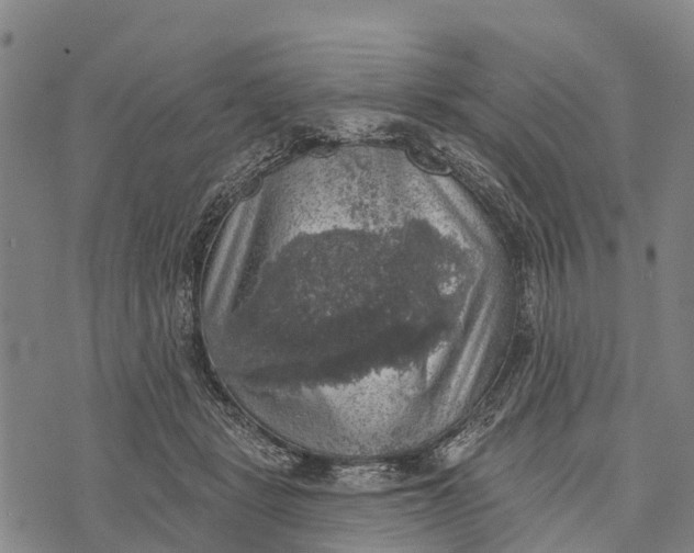 X0000073890461200609011657