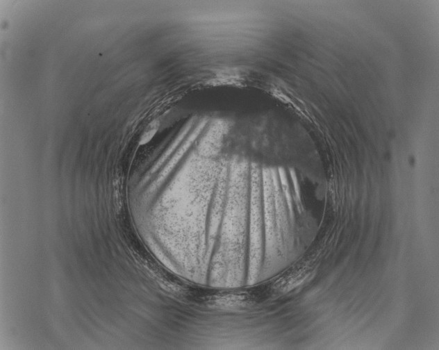 X0000073890462200609011657