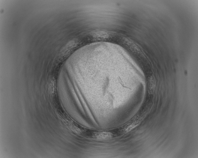 X0000073890463200609011657