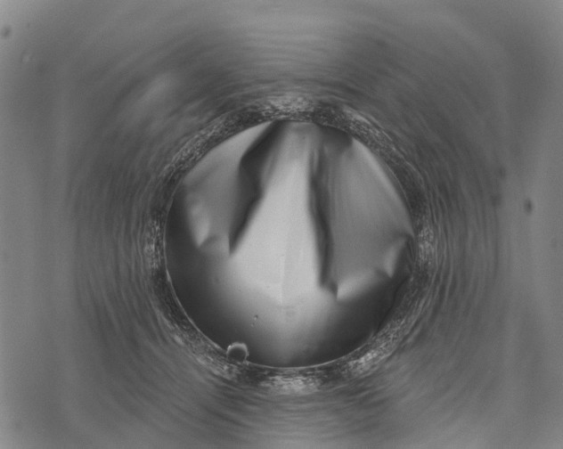 X0000073890464200609011657