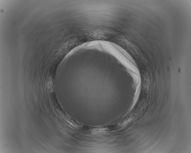 X0000073890465200609011657