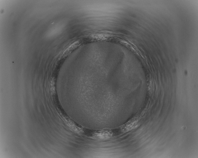 X0000073890466200609011657