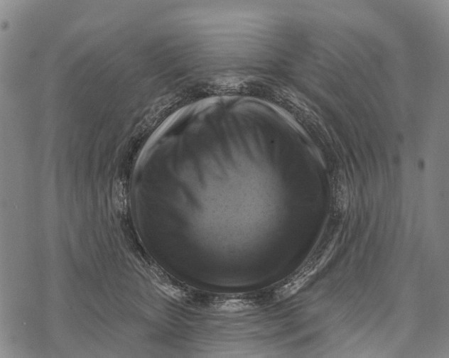 X0000073890467200609011657