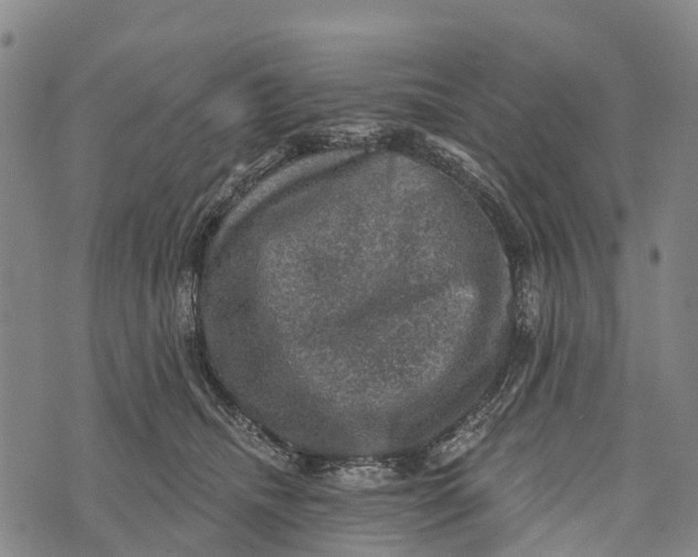 X0000073890468200609011657