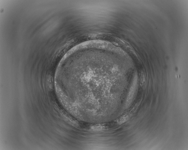 X0000073890470200609011657