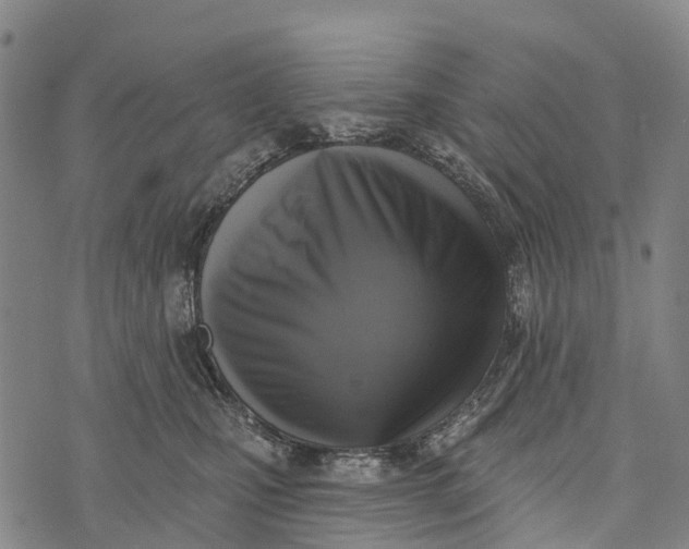 X0000073890471200609011657